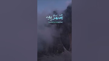 سورة الحج الآية 19 و 20 و 21  بصوت الشيخ  محمد الفقيه