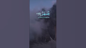 سورة الحج الآية 19 و 20 و 21  بصوت الشيخ  محمد الفقيه