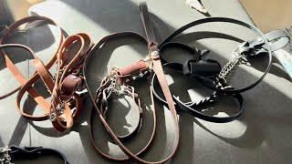 Lagotto Romagnolo Best Leashes and Collars from Etsy