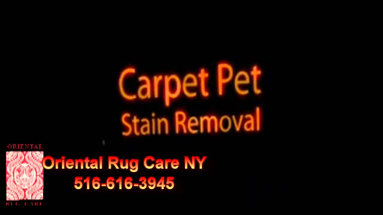 Carpet Restoration Long Island 5166163945 Long Island Rugs & Carpets