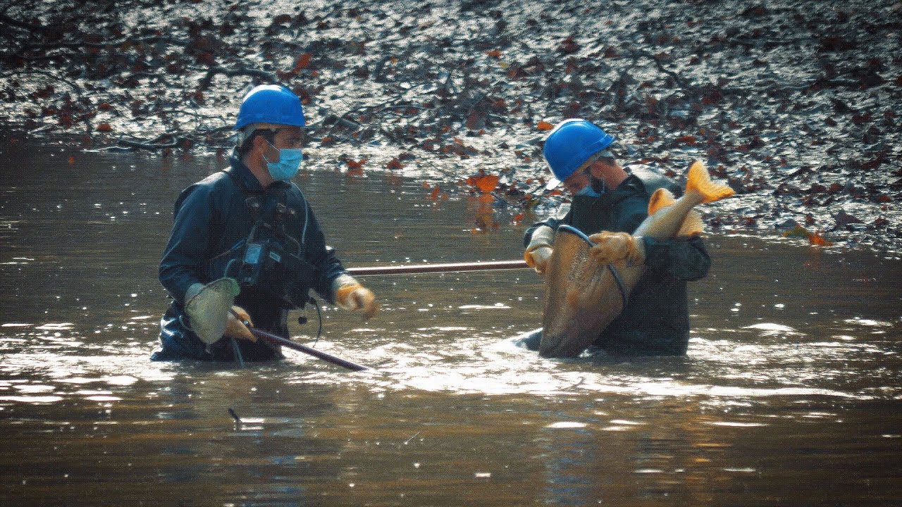 What will we find in this DRAINED CANAL ?
