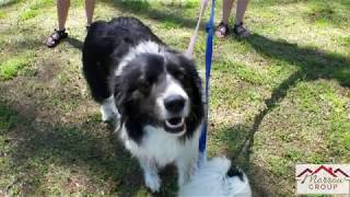 Things to Do in Memphis // Shelby Farms Park