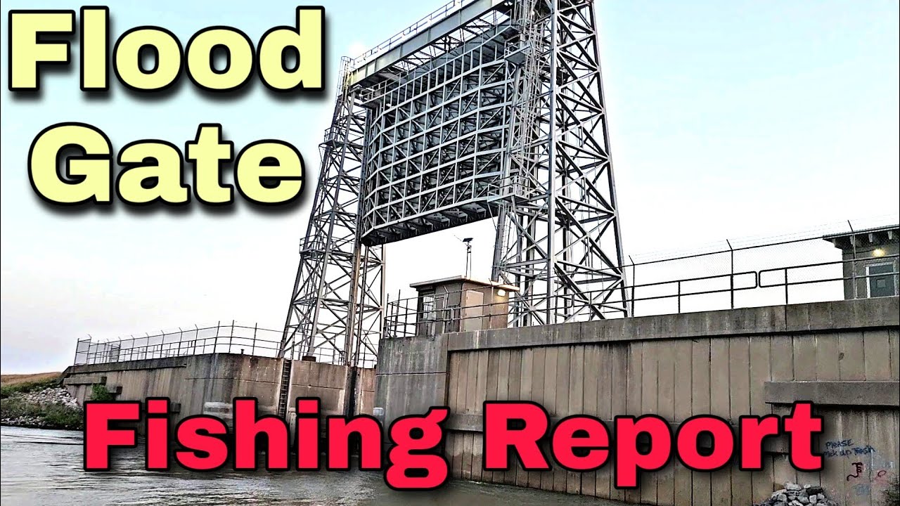 Flood Gate ** Fishing Report ** Near Texas City Dike - YouTube