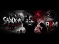 SHADOW IN MY MIND IN YOUR MIND - RVM