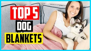 Top 5 Best Dog Blankets in 2025– Reviews