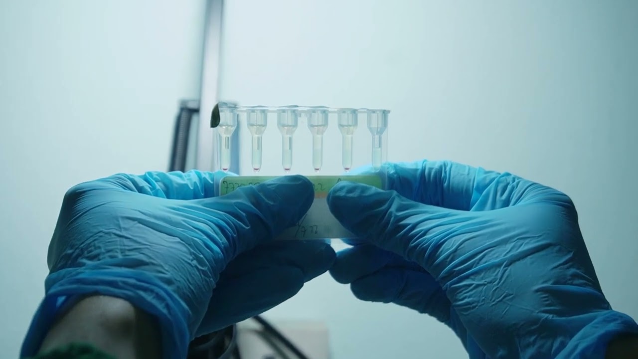 Edukasi Donor Reaktif