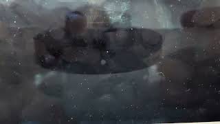 Hard Reset Oura Ring Without The App screenshot 5