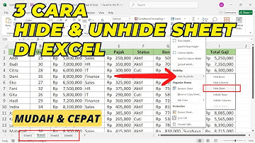 Cara Menyembunyikan Sheet di Excel & Bagaimana Memunculkan Kembali Sheet yang di Hide di Excel