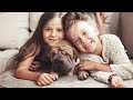 How to Remove a PET STAIN - Quick Tips From A Professional!