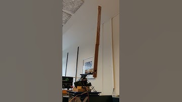 Rotary inverted penulum