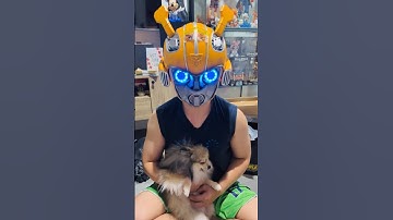 Wearable Bumblebee Helmet – The Ultimate Transformers Collectible! ⚡🚀 Step into the World of BBEE