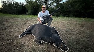 Stalking Pigs That Are Destroying Our ranch (Catch Clean Cook)