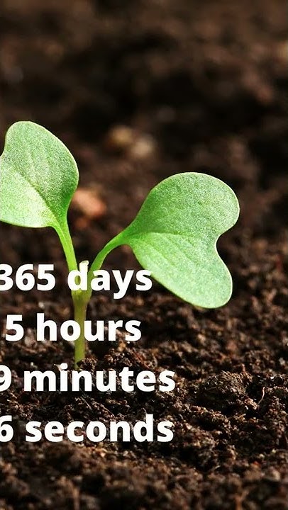 how-much-time-earth-take-to-complete-one-revolution-youtube