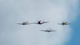 Virtual Ultimate Fighters - Loop Training 12.01.21