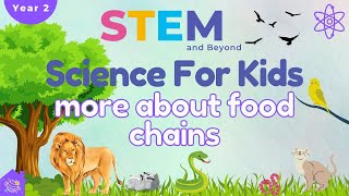 More About Food Chains | Science For Kids | STEM Home Learnin