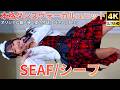【4K/60p】SEAF/シーフ(Japanese idol group)「2026年初野外ライブ」Eブロック 2026年3月15日(日)