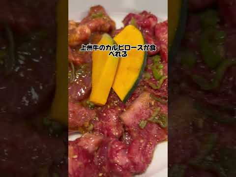 【群馬グルメが美味しすぎた】