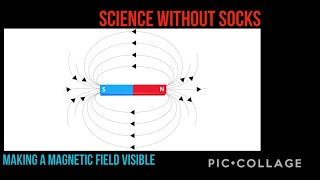 Making a Magnetic Field Visible