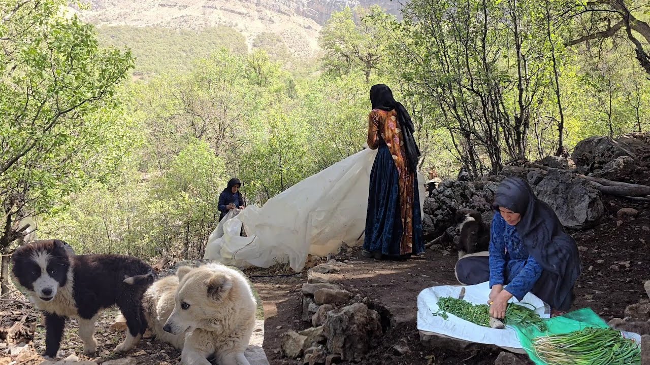 Кочевая жизнь в природе | Простое, но удивительное повествование о кочевниках в Чахане