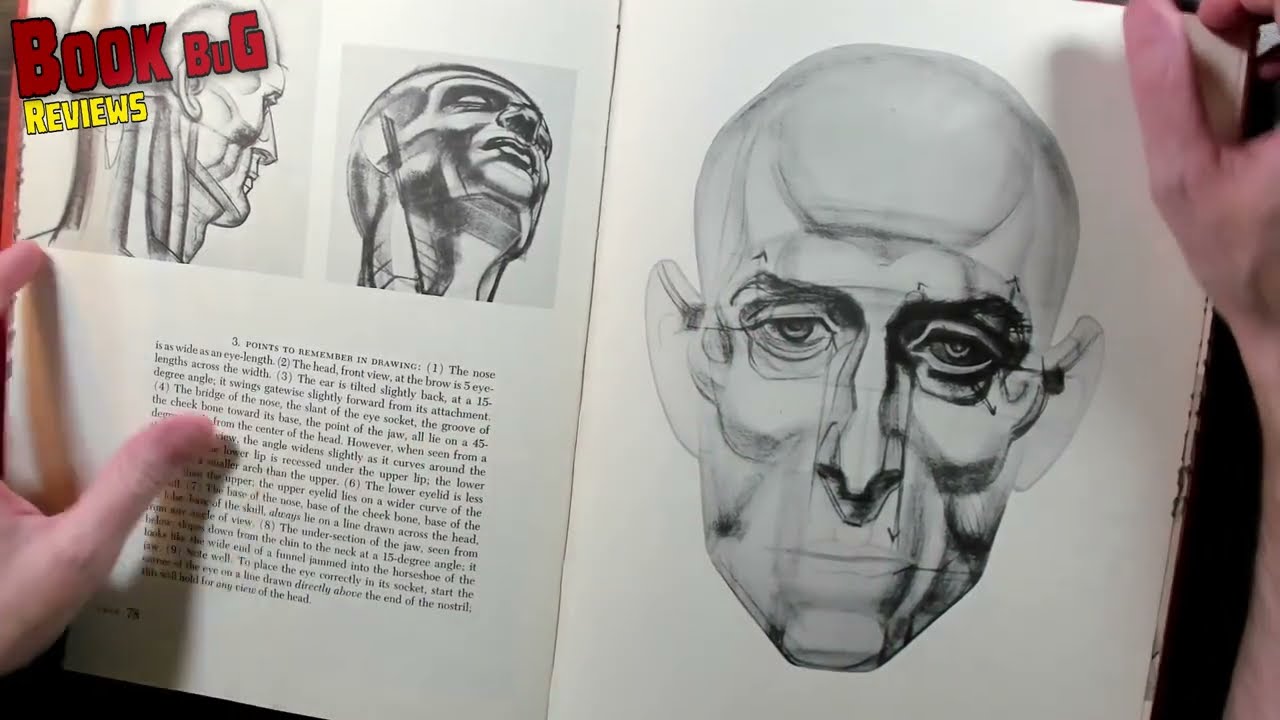 Book Bug Review - Burne Hogarth Dynamic Anatomy