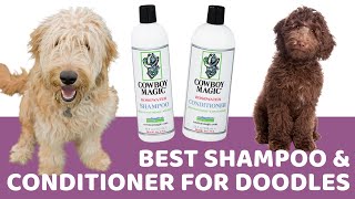 Best Shampoo for Doodles: Cowboy Magic Rosewater Shampoo (and Conditioner) Review by Doodle Doods 8,812 views 3 years ago 6 minutes, 12 seconds