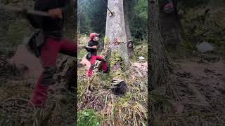How Do You Cut Down a Giant Tree? 🤔 #treeremoval #satisfying