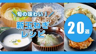 【新たまねぎレシピ20選】甘くてシャキシャキ！春ならではのおいしさ♪サラダやスープ、炒め物などレシピいろいろ｜macaroni（マカロニ）
