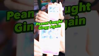 She is a pokemon addict @RNGingy @TheBurntPeanut #twitch #theburntpeanut #gaming #streamer #funny