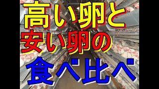 平飼い卵とケージ卵の食べ比べ。どっちが上手い？価格は？