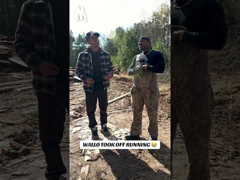 Wallo started running like Forrest Gump 😭