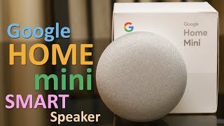 Google Home Mini Review (in Hindi) - Smart Speaker for Rs. 4,999 (+Surprise)