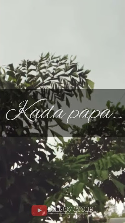 Story WA | Bahasa banjar | kada papa by TOMMY kaganangan | Slowmotion