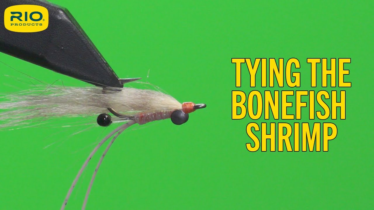 Tying The Fly - Bonefish Shrimp 