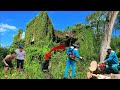 Time-Lapse: Cleaning an Overgrown Haunted House – Giant Python Emerges from Hidden Cave! 🏚️🐍🌿