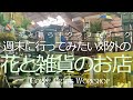 ダルトンファクトリーサービス南町田【週末に行ってみたい郊外の雑貨のお店】南町田店