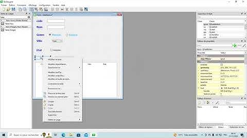 Interface Graphique (QT) -fichier binaires- 4 sciences Informatique