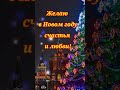 С Новым годом! Здоровья, счастья, мира и любви! 🎄🥂🎉#праздник #новыйгод #настроение #