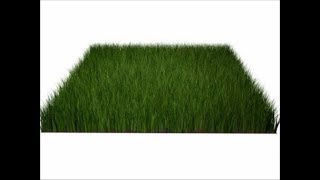 Realistic Grass (Under 2 minutes) || 3DS Max || Softorials