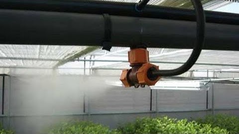 Fogger mister humidifier system in green house