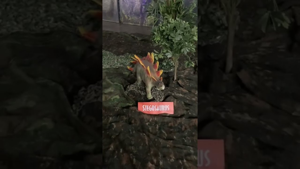 Cute baby dinosaurs at Jurassic Quest 2022. 