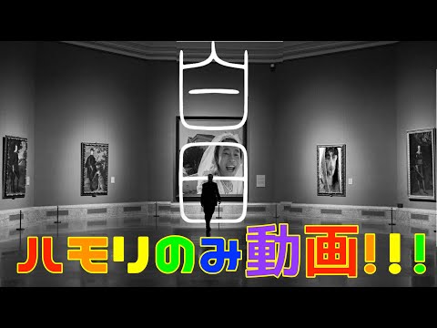 【ハモリのみ】 白日 - King Gnu キングヌー　進撃のまーしゃる
