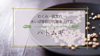 【ひとこと薬膳】　ハトムギ