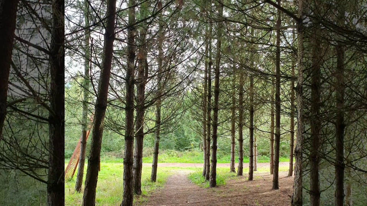 Manton wood worksop YouTube