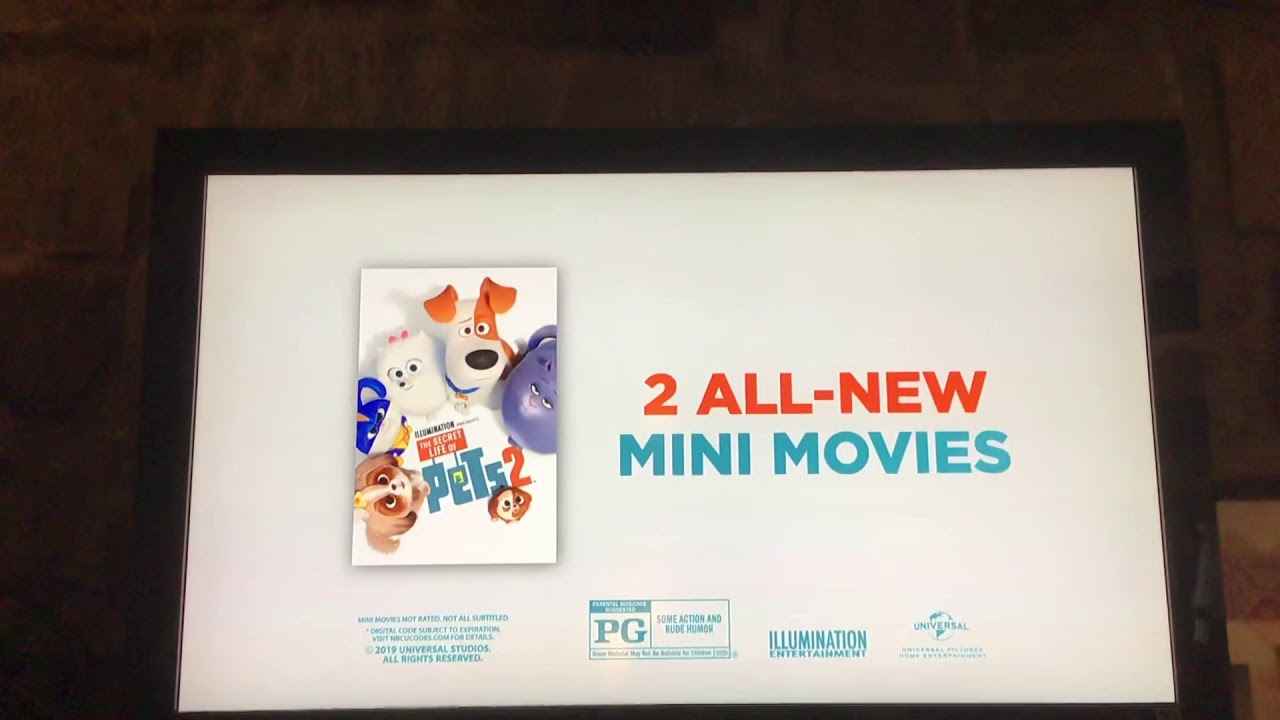 The Secret Life of Pets 2 | Watch Now on DVD, Blu-Ray & Digital - YouTube