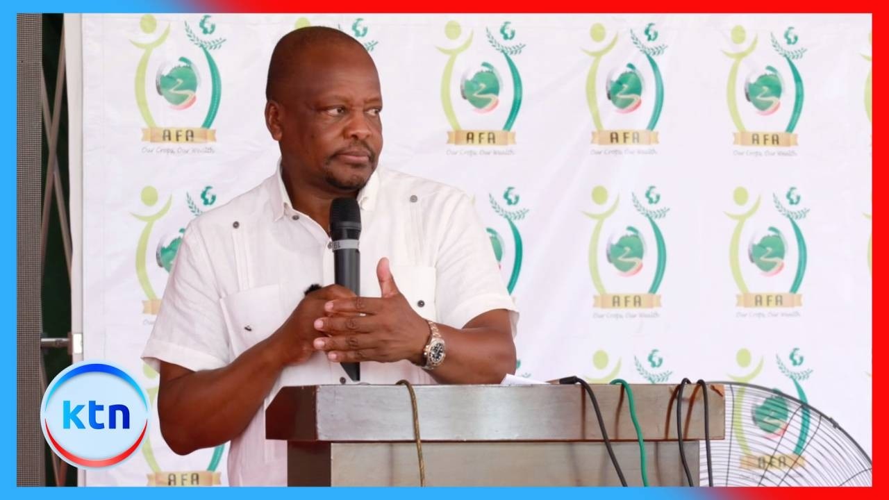 Land fragmentation threatens Kenya’s farming future