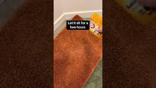 Do your bath mats smell even after washing them Try this