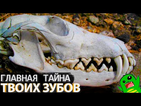 Интернет - это провал