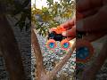 remote control racing car toy
