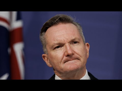 ‘Enormously frustrating’: Government’s reliance on cheap overseas labour exposed by fuel crisis