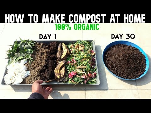 How To Make Compost At Home (WITH FULL